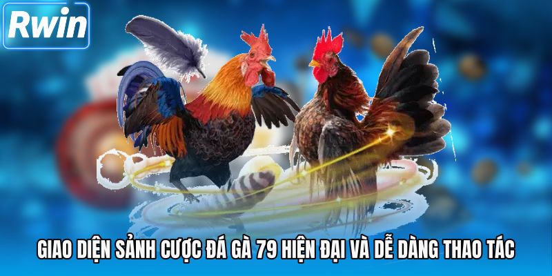 Giao diện sảnh cược đá gà 79 hiện đại và dễ dàng thao tác