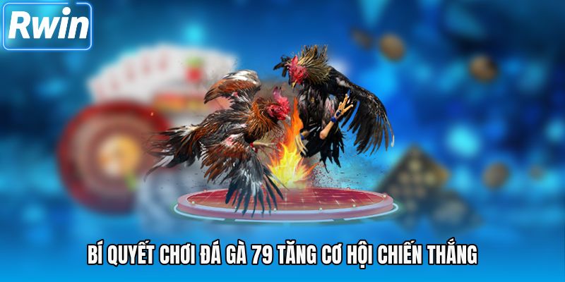 Bí quyết chơi đá gà 79 tăng cơ hội chiến thắng